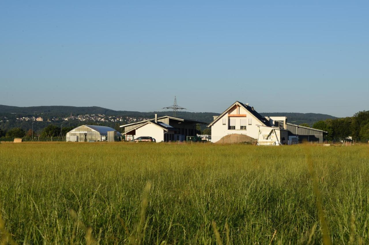 Einladende Ferienwohnung Auf Bauernhof In Sinzig Exteriér fotografie
