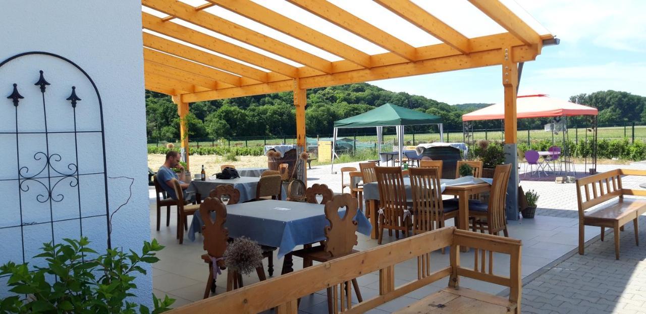 Einladende Ferienwohnung Auf Bauernhof In Sinzig Exteriér fotografie