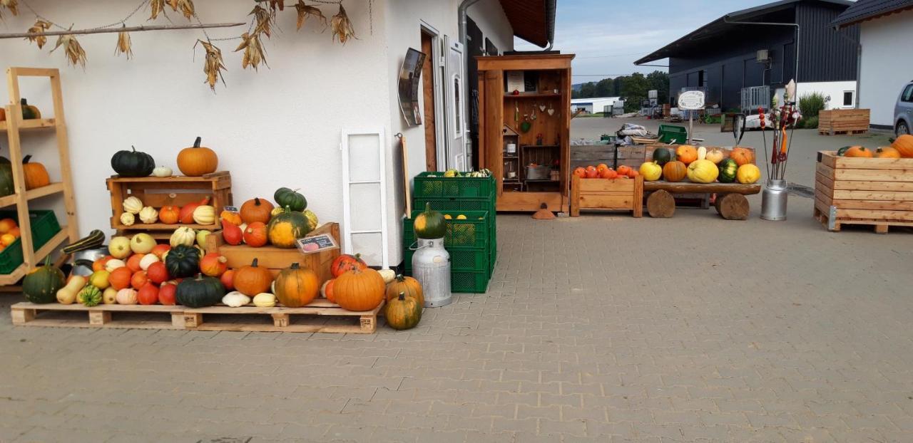 Einladende Ferienwohnung Auf Bauernhof In Sinzig Exteriér fotografie